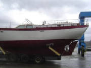 DSC03446.jpg