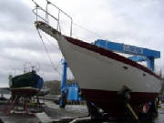 DSC03448.jpg