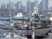 DSC01173.jpg