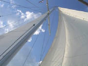 DSCN3971.jpg