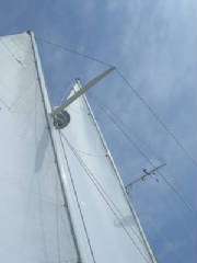 DSCN4600.jpg
