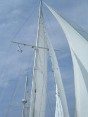 DSCN4615.jpg