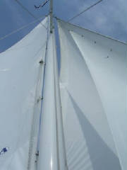 DSCN4667.jpg