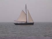 DSCN4770.jpg