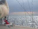 2006index004003.jpg