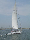 2006index006001.jpg