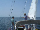 2006index007012.jpg