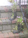 2006index008001.jpg
