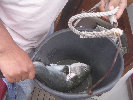 2006index008009.jpg