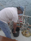 2006index008010.jpg