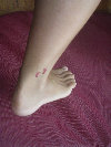 2006index009014.jpg