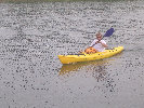 2006index010008.jpg