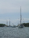 2006index010014.jpg