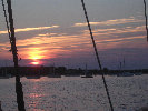 2006index011008.jpg