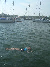 2006index012001.jpg