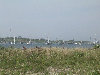 2006index012005.jpg