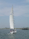 2006index012013.jpg