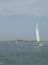2006index012014.jpg