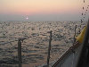 2006index013007.jpg