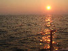 2006index013010.jpg