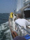 2006index013019.jpg