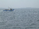 2006index014001.jpg