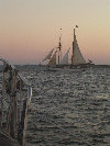 2006index017006.jpg