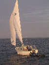 2006index017012.jpg