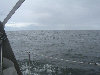 2006index021012.jpg