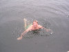 2006index022027.jpg