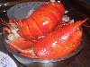 2006index022034.jpg
