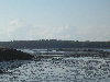 2006index023008.jpg