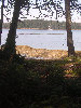 2006index023019.jpg