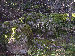 2006index023023.jpg