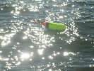 2006index026025.jpg