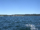 2006index026029.jpg