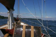 P0000800-2000.jpg