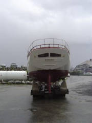 DSC03445.jpg