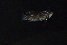 wuling_2008010006.jpg