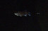 wuling_2008010007.jpg