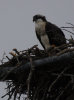 wuling_2012012023.jpg