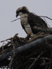 wuling_2012012024.jpg