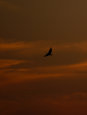 wuling_2012013035.jpg